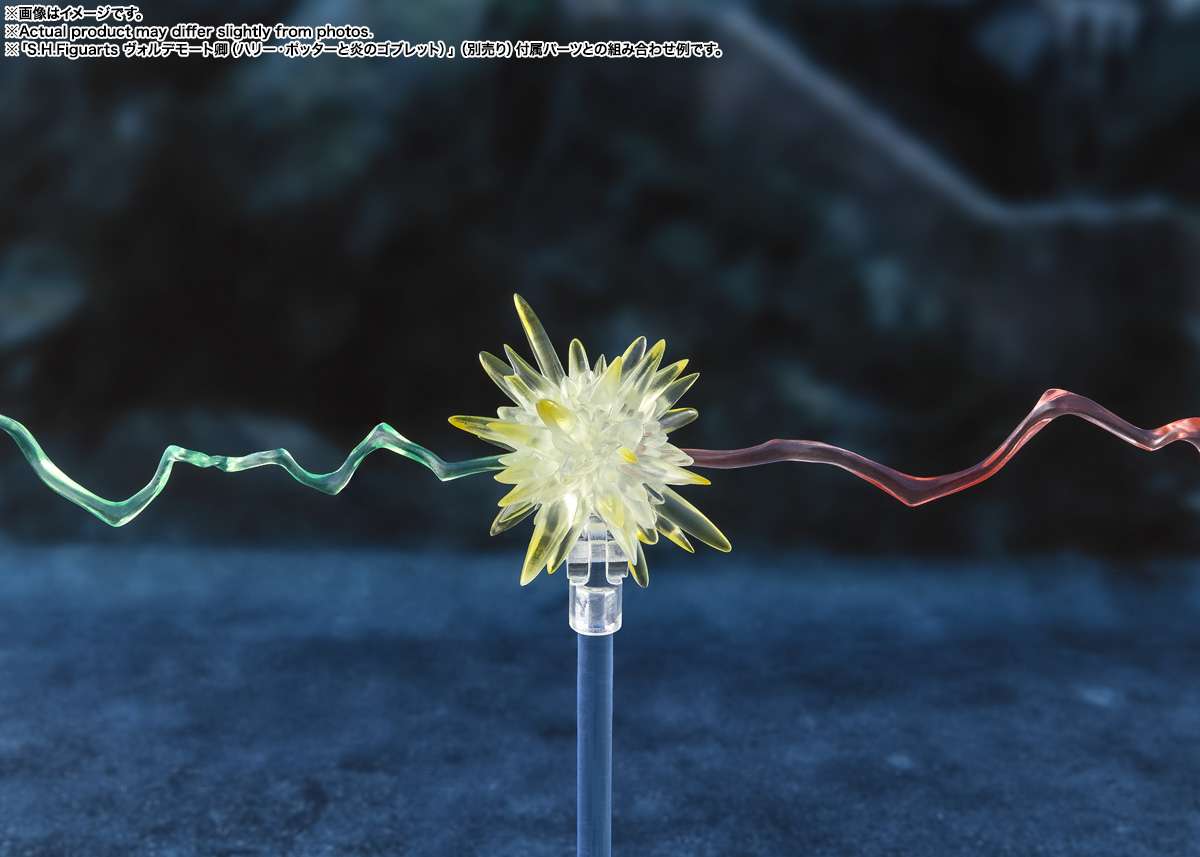 Harry Potter And The Goblet Of Fire Harry Potter Shf