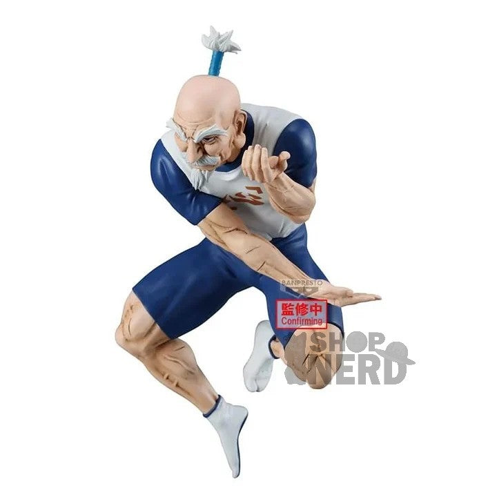 HUNTER X HUNTER - VIBRATION STARS - NETERO