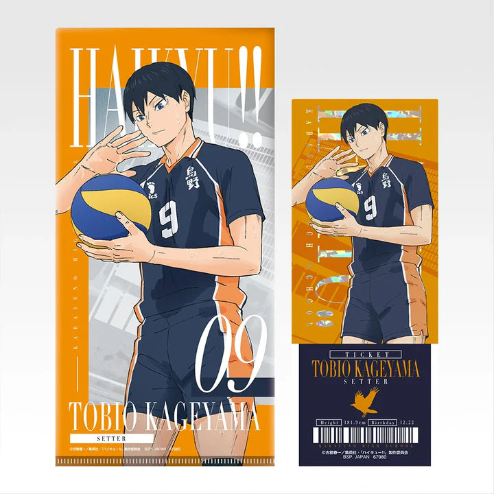 Ichiban Kuji Haikyu!! The Strongest Challenger - I Prize Ticket Case & Clear Card Complete Set of 9 Types