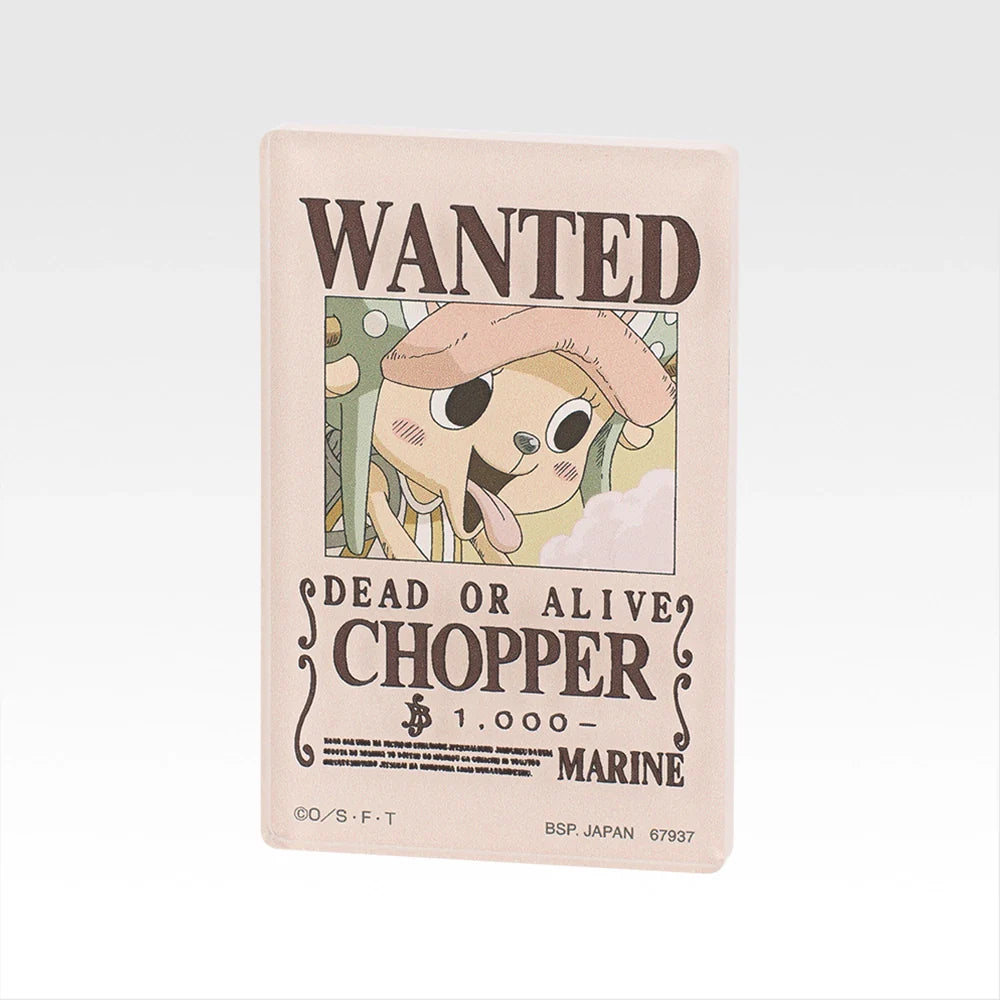 Ichiban Kuji One Piece EX Those Who Possess the Devil vol.3 - G Prize Acrylic Blocks (18 Types)