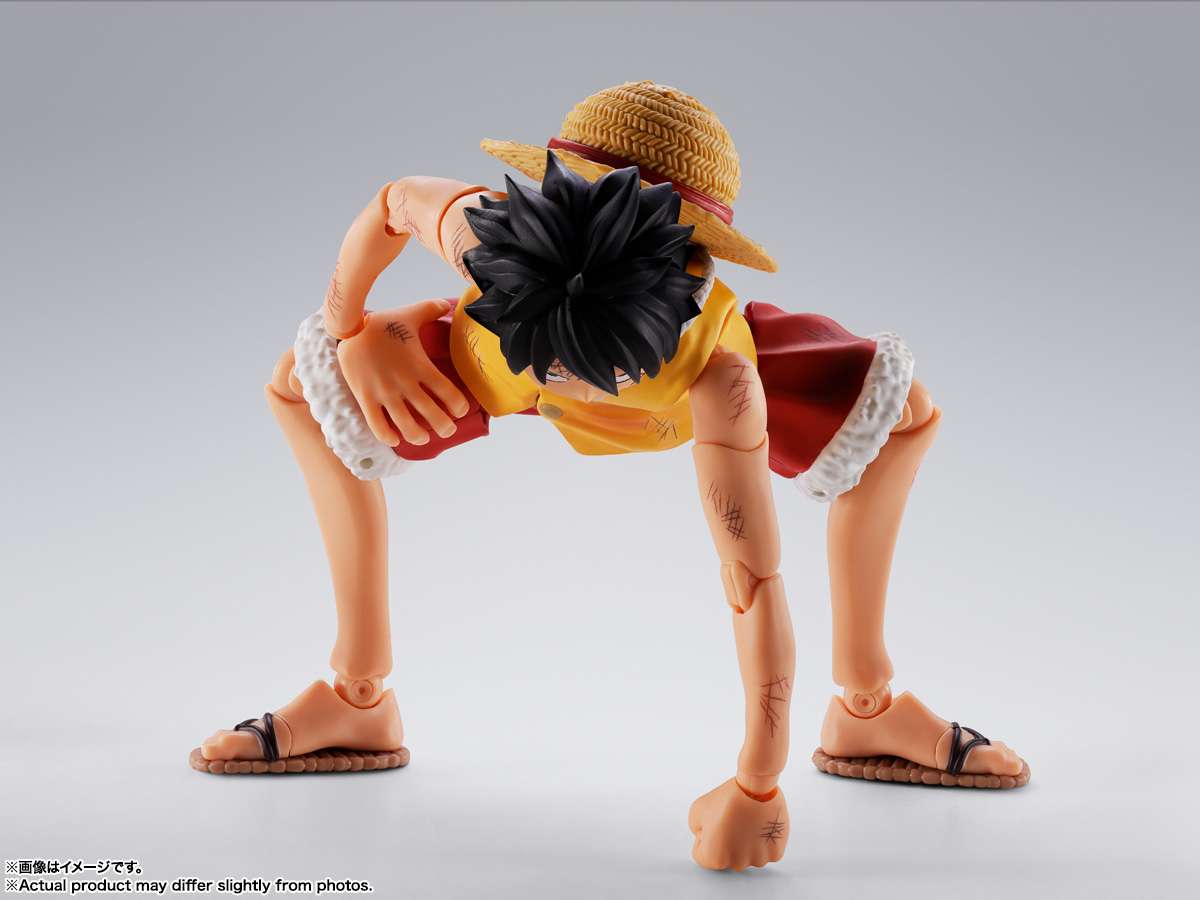 One Piece Monkey D.Luffy Marineford Shf