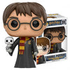 Funko POP! Harry Potter: Harry Potter w/Hedwig (31)