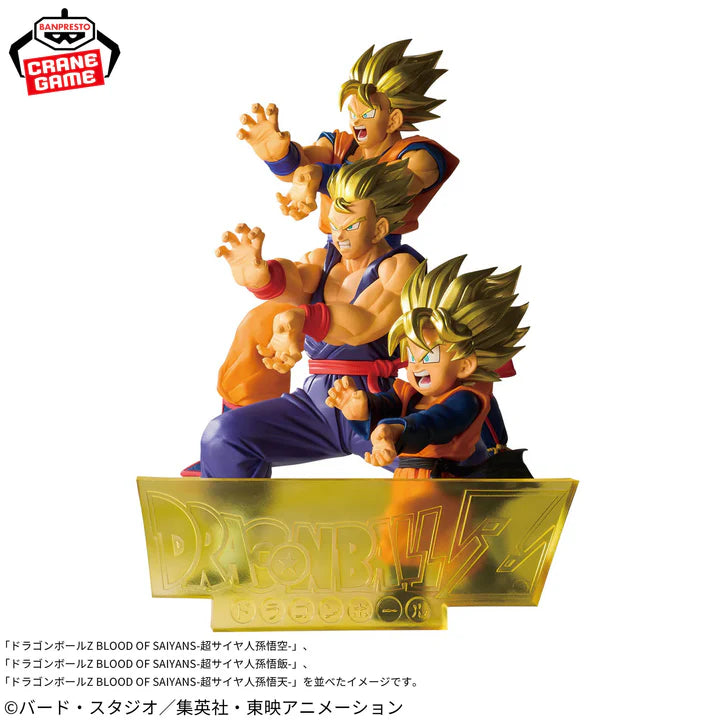 Dragon   Ball   Z   Blood   of   Saiyans   -   Son   Goku