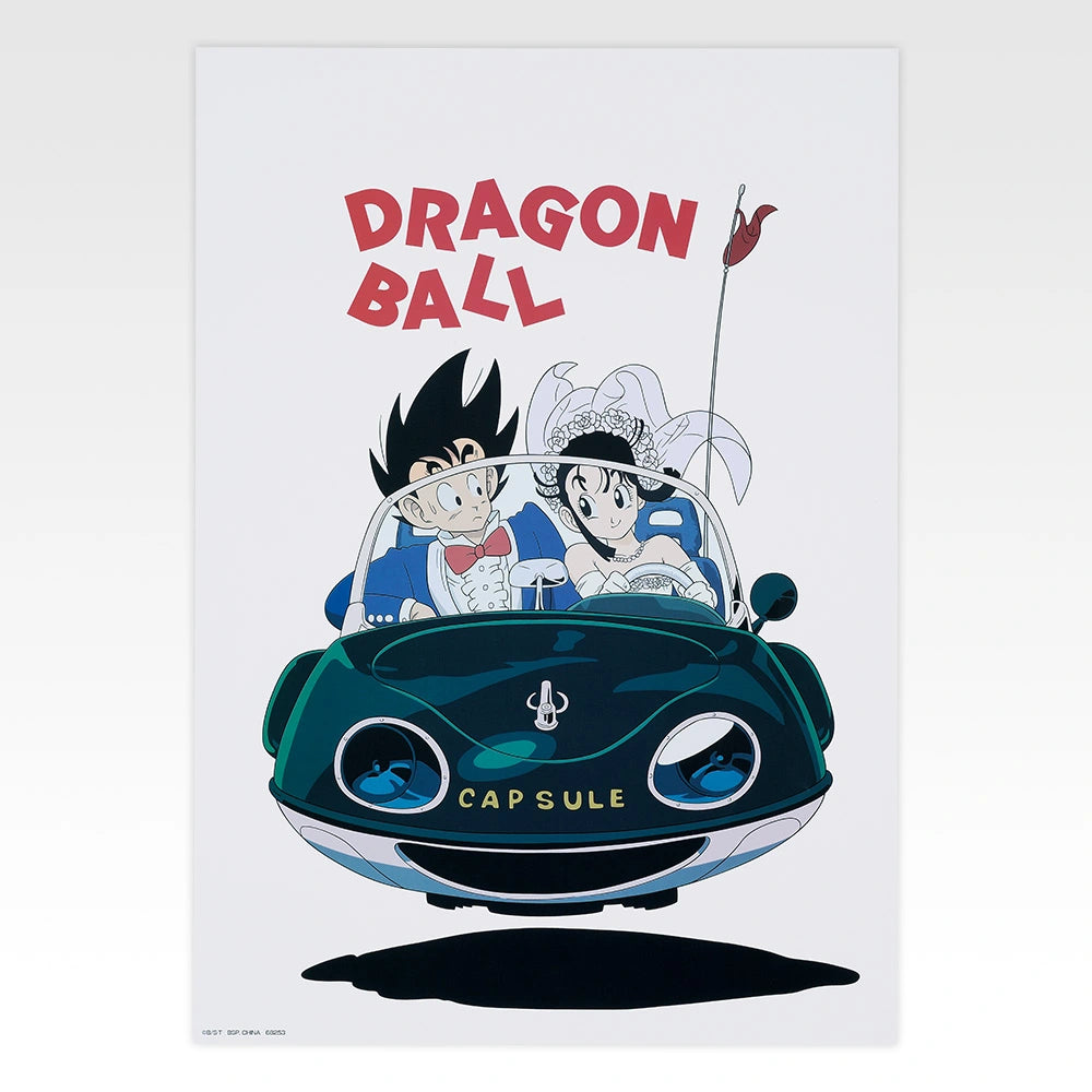 Ichiban   Kuji   Dragon   Ball   Spectacle   Battle   -   H   Prize   BIG   B3   size   Poster   Collection   (10   Types)