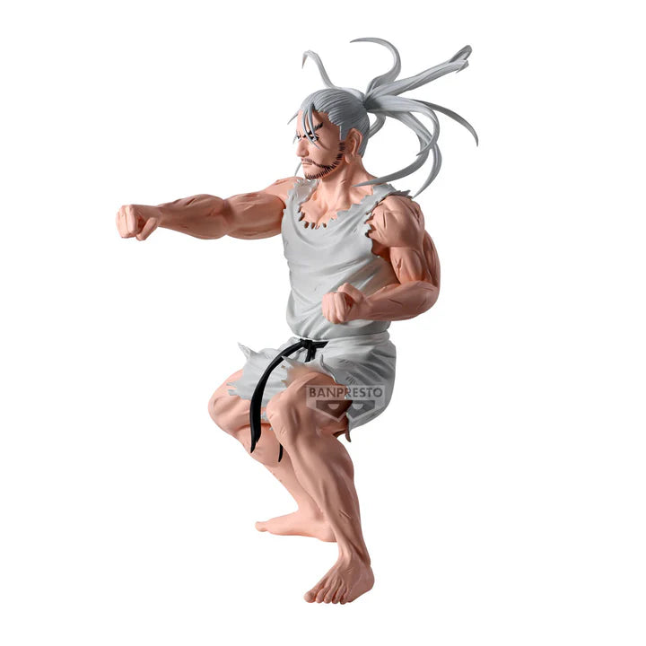 Hunter   X   Hunter   Hunting   Archives   -   Netero   Faster   Than   Sound