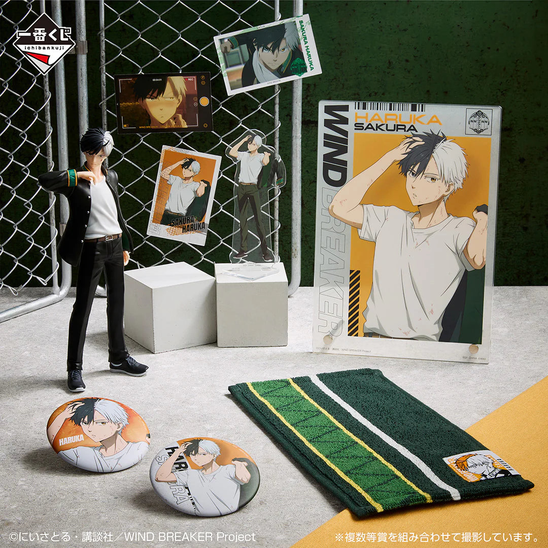 Ichiban   Kuji   Wind   Breaker   After   the   Battle   -   A   Prize   Haruka   Sakura   Figure