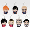 Ichiban   Kuji   Haikyu!!   Karasuno's   Future   -   F   Prize   Kiraraizu   Mascot   (7   Types)