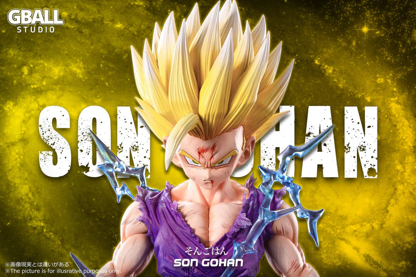 Gball Studio Dragon Ball Son Gohan Statue