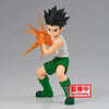 Gon Freecss HUNTER X HUNTER Vibration Stars